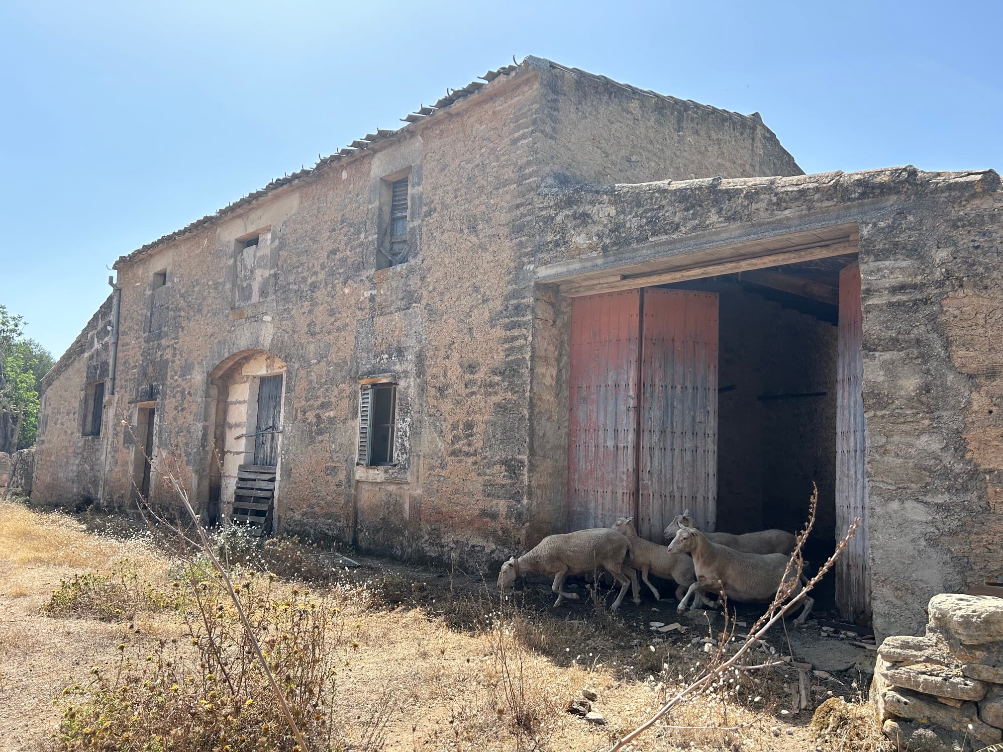 Architectural visualization of the original rehabilitation proposal for the historic finca at Property III