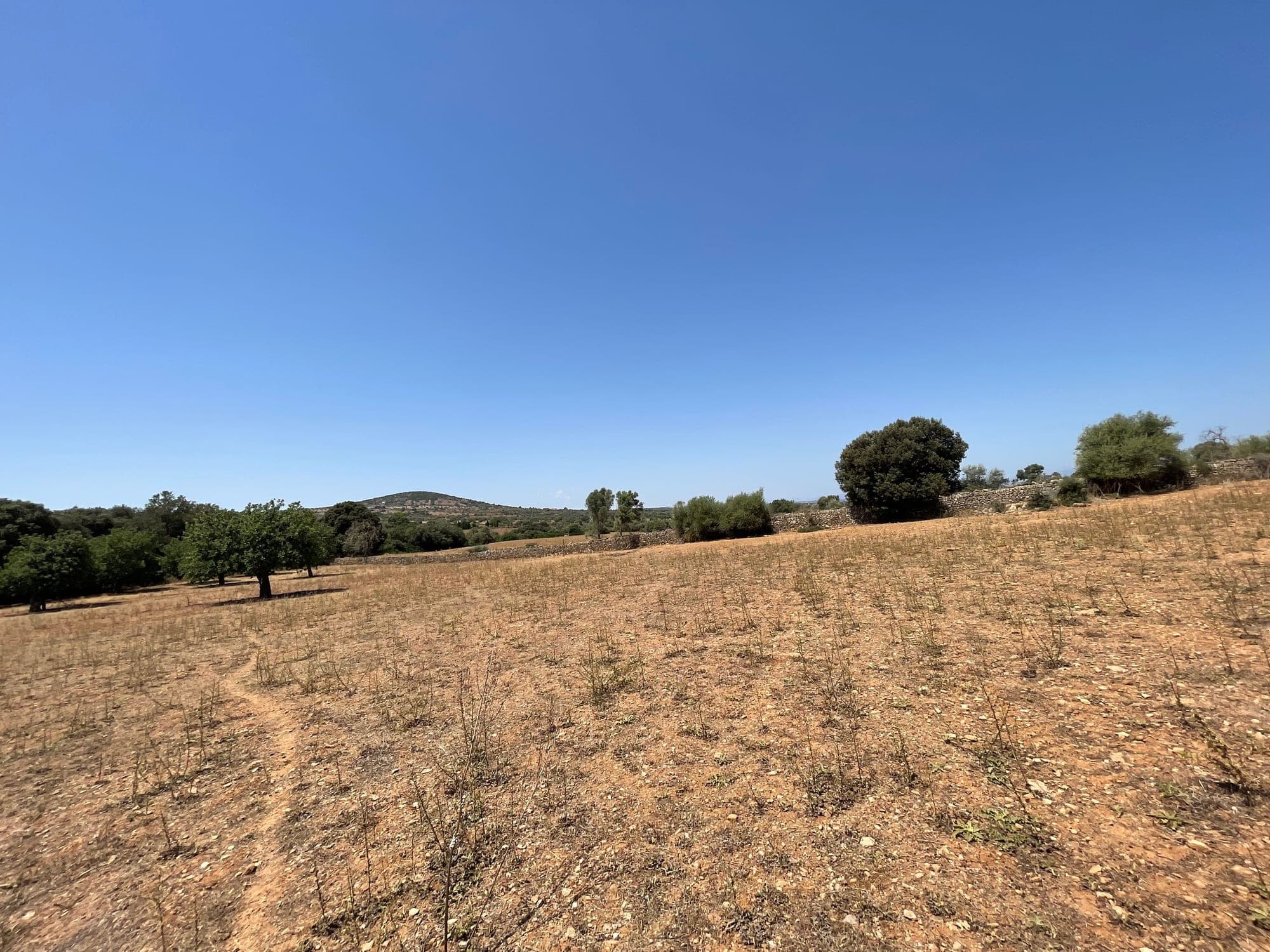 Open agricultural fields within Can Caramany