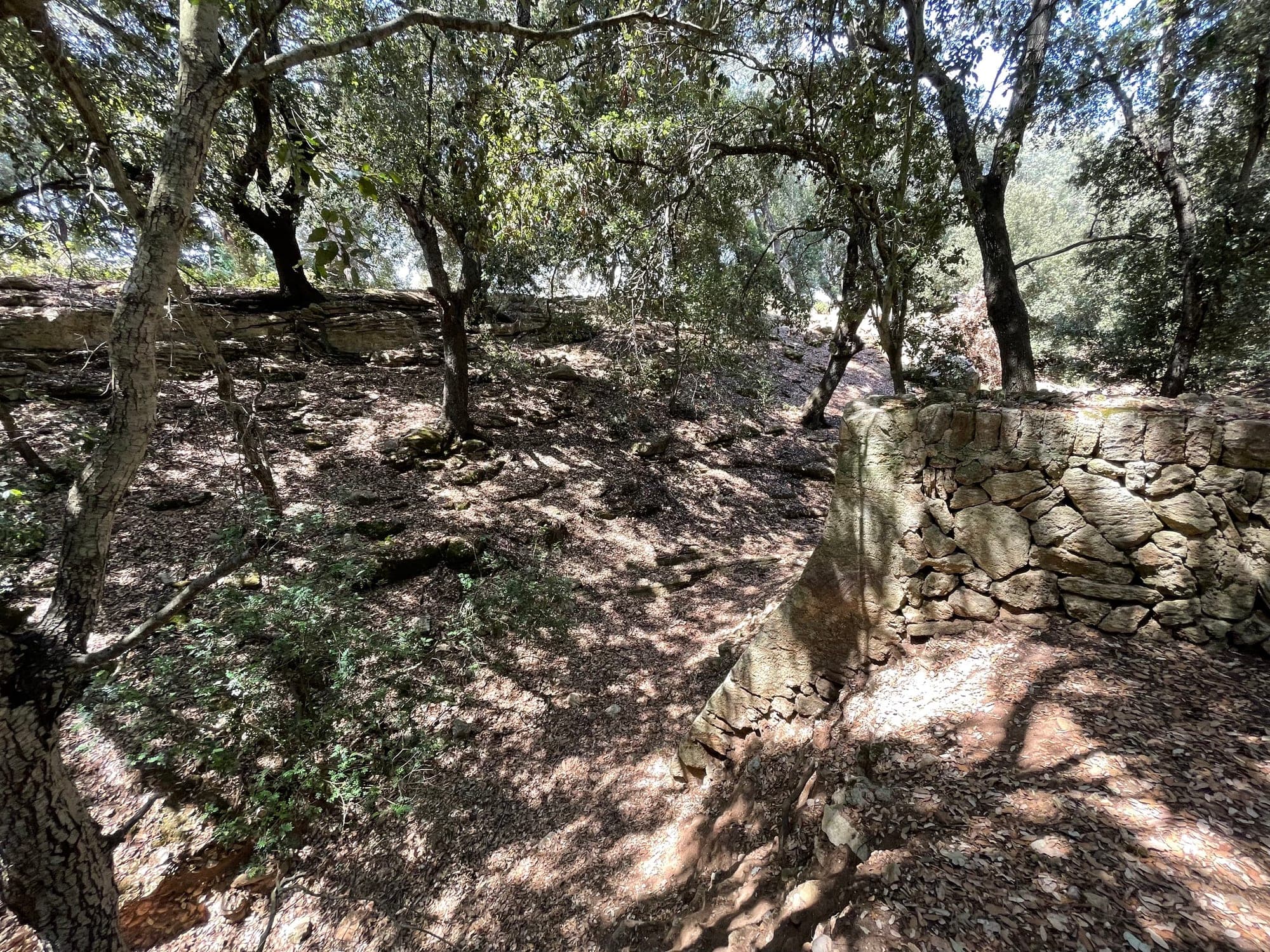 Traditional dry-stone wall across Can Caramany countryside